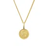 Katie Mullally Limited Men's Irish 3d Coin & Chain In Yellow Gold Plate In Gold