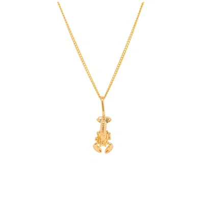 Katie Mullally Limited Women's Lobster Yellow Gold Plated Necklace
