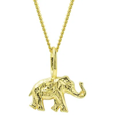 Katie Mullally Women's Elephant Yellow Gold Plated Necklace In Gray