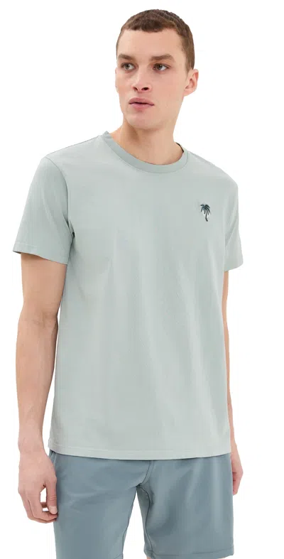 Katin Crawford Embroidered Tee Aloe Pigment Dye