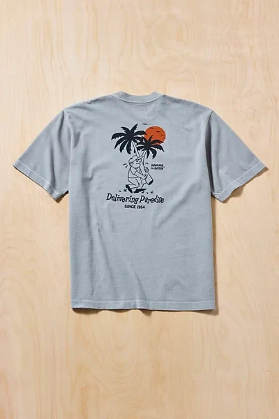 Katin Delivering Paradise Graphic Boxy Fit Tee In Grey, Men's At Urban Outfitters In Gray
