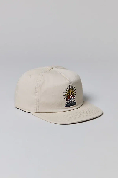 Katin Fun Guy Embroidered Hat In Pelican, Men's At Urban Outfitters In Neutral