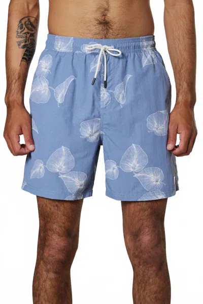 Katin Gust Volleys In Spring Blue