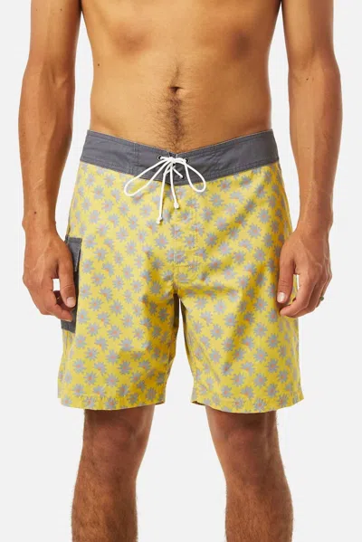 Katin Mache Trunk In Lime In Green