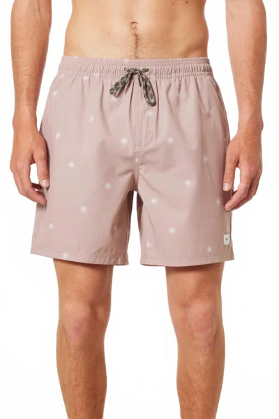 Katin Men's Shine Volley In Dusty Pink In Transparent