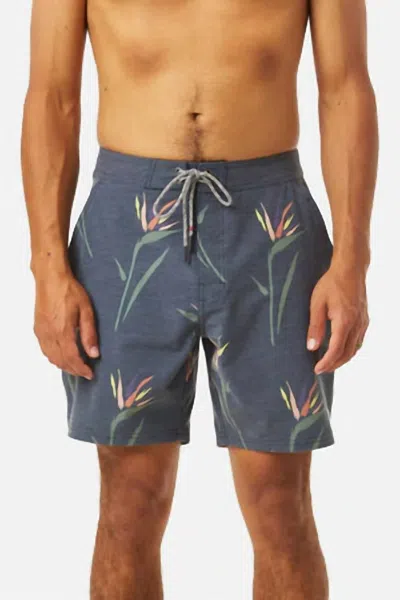 Katin Paradise Hybrid Trunk In Black Wash