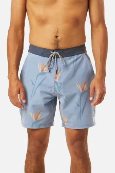 Katin Paradise Hybrid Trunk In Tradewinds Blue In Multi