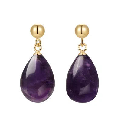Katy Faye Women's Pink / Purple February Amethyst Earrings