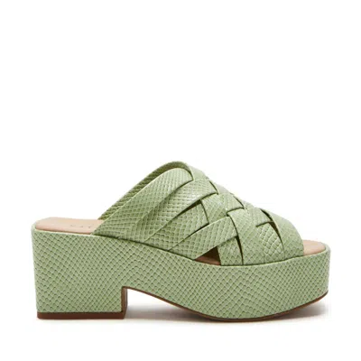 Katy Perry The Busy Bee Criss Cross Slide In Green