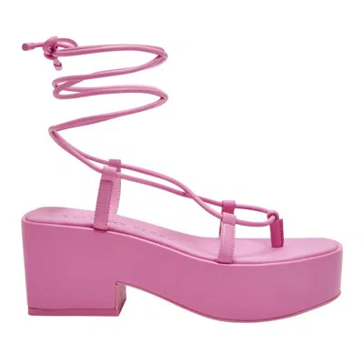 Katy Perry The Busy Bee Lace Up Sandal In Pink