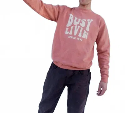 Kavu Core Crewneck Sweater In Fire Brick In Red