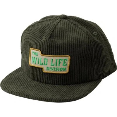 Kavu Wooderson Cap In Black