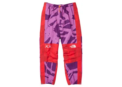 Pre-owned Kaws Men's  X The North Face Mountain Light Pants In Pamplona Purple Mtn Light Print