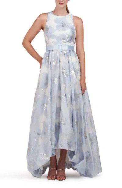 Kay Unger Women's Vivian Floral Organza Jacquard Gown In Pale Blue Ivory