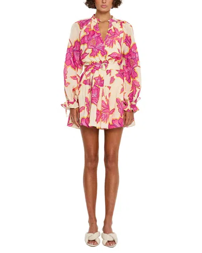 Kayla Paris Mini Dress In Animal Print