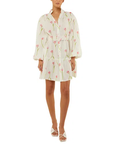 Kayla Paris Mini Dress In Multi