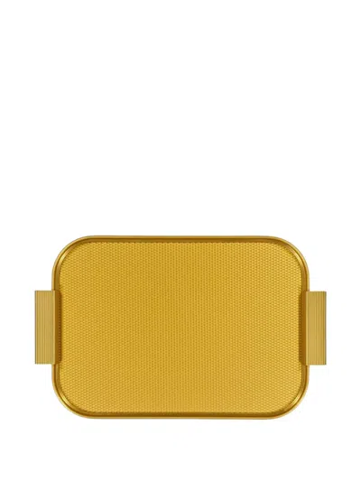 Kaymet Polish-finish Tray In Yellow