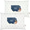 Keababies 2-pack Toddler Pillows In Bumble Bear
