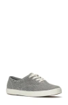 Keds Women's Champion Dalmata Leather Lace Up Leather Sneakers In Gray