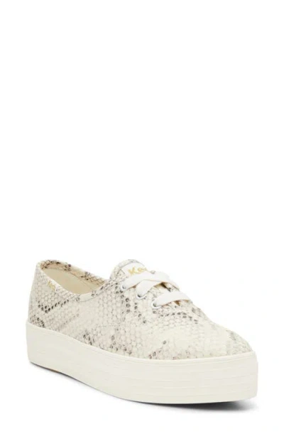 Keds Women's Point Snake Print Lace Up Leather Sneakers In Taupe
