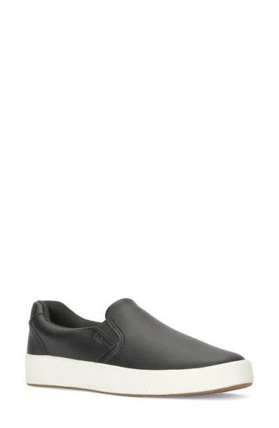 Keds Pursuit Slip On In Black