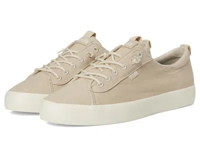 Keds Women's  Kickback Sneakers Oatmeal Canvas Slip On Platform Shoes Hawk1859 In Neutral
