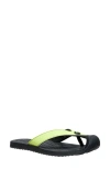 Keen Barbados Flip Flop In Daiquiri Green/ Black