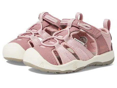 Keen Moxie Sandal (toddler) Kids Shoes Nostalgia Rose/papaya Punch : 7 Toddler M