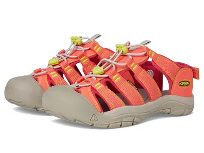 Keen Newport Boundless Sandal (toddler/little Kid/big Kid) Kid's Shoes Dubarry/evening Primrose : 2 Littl