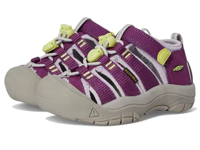 Keen Newport H2 (toddler/little Kid) Kids Shoes Charisma/daiquiri Green : 9 Toddler M, Synthetic