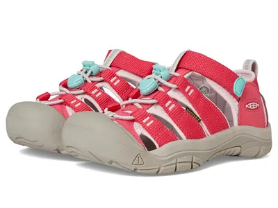 Keen Newport H2 (toddler/little Kid/big Kid) Kids Shoes Raspberry/pink-a-boo : 2 Little Kid M, Synthetic