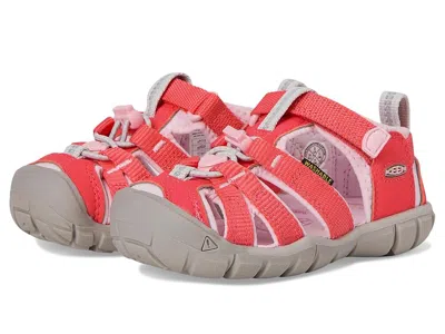 Keen Seacamp Ii Cnx (toddler/little Kid/big Kid) Kids Shoes Dubarry/pink-a-boo : 8 Toddler M, Textile