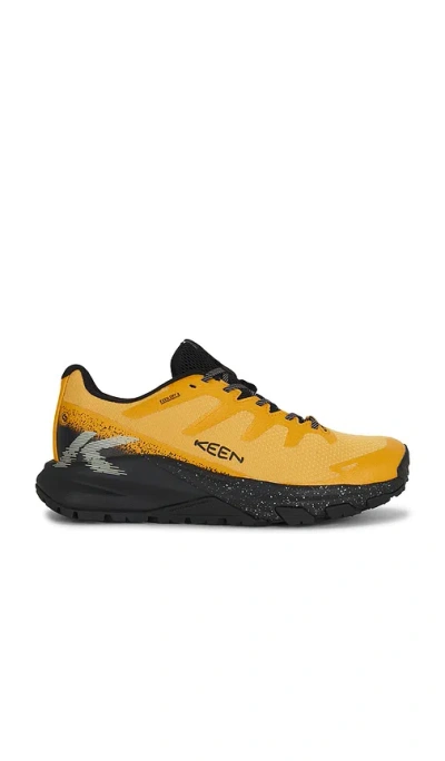 Keen Targhee Apex Wp In Gold