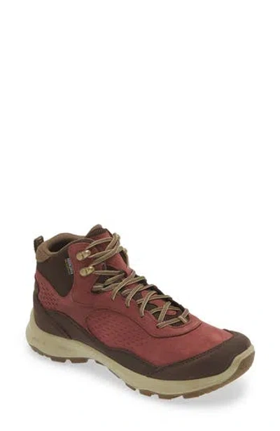 Keen Terradora Explorer Waterproof Hiking Boot In Andorra/java