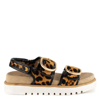 Keith Scarrott Shoes Women's Black / Brown Novoli Leopard Sandal In Multi