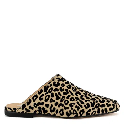 Keith Scarrott Shoes Women's Black / Brown Varlungo Leopard Mule In Multi