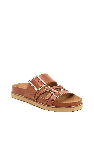 Kelsi Dagger Brooklyn Stella Buckle Slide Sandals In Brown