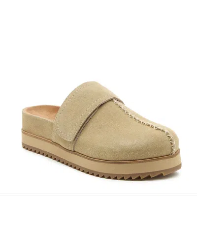 Kelsi Dagger Women's Fig Platform Mule In Oatmeal In Neutral
