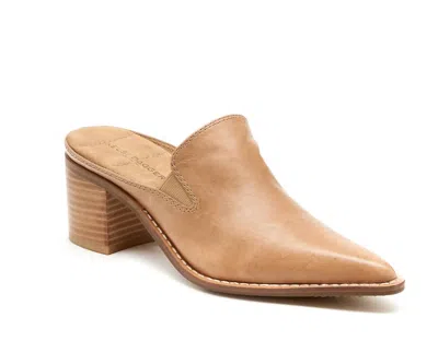 Kelsi Dagger Women's Mason Pointed Toe Mules In Bison In Orange