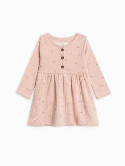 Kendi Kids'  Bryn Pointelle Henley Dress In Neutral