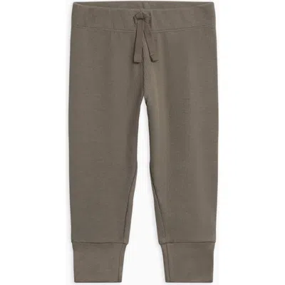 Kendi Charlie Ribbed Joggers In Brown