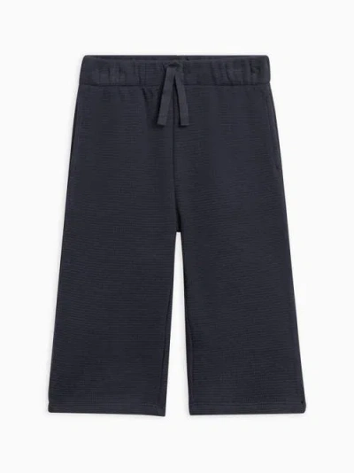 Kendi Clove Waffle Knit Pants In Black