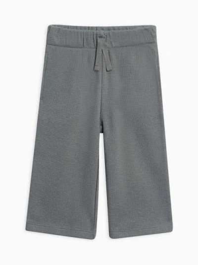 Kendi Clove Waffle Knit Pants In Gray