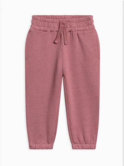Kendi Leif Fleece Sweatpants In Pink