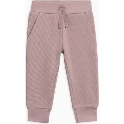 Kendi Nelson Waffle Knit Jogger In Purple