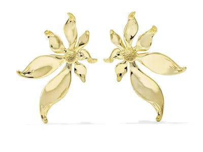 Kendra Scott Anya Flower Stud Earrings Earring Gold White Cz: One Size