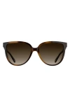 Kendra Scott Dira 57mm Gradient Tea Cup Sunglasses In Brown