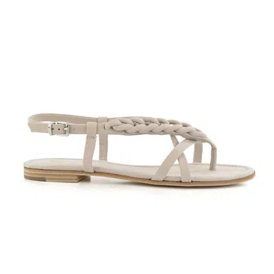 Kennel & Schmenger Fabulous Strappy Sandals In Almond In Grey