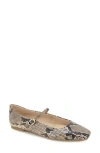 Kenneth Cole Jasper Snakeskin Embossed Mary Jane Flat In Taupe Snake