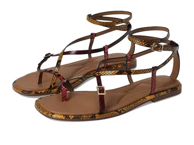 Kenneth Cole New York Paros In Brown